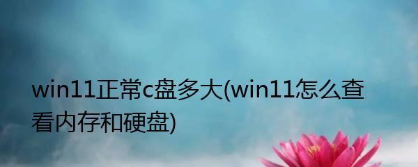 Win11D盘扩展教程（一步步教你扩展Win11D盘的容量）