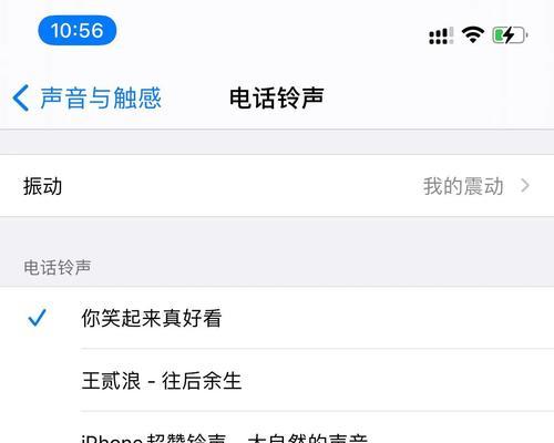 解决iPhone手机铃声杂音问题（有效处理iPhone铃声杂音，提升使用体验）