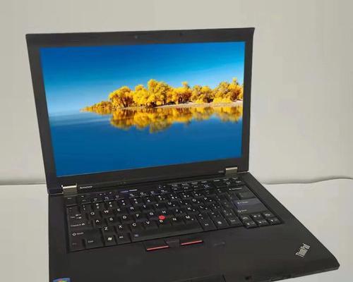 轻松升级ThinkPad（快速提升ThinkPad性能，把握换硬盘升级细节）