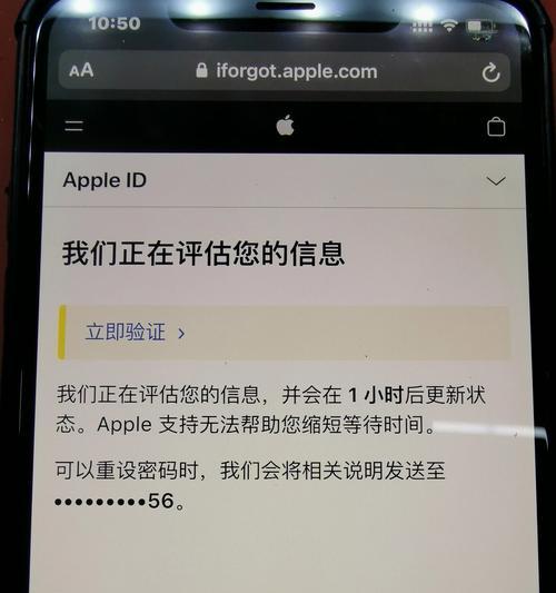 iOS版App加密码保护，提升数据安全性（从密码设置到数据加密，助您保护隐私安全）