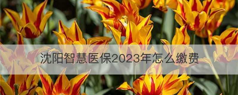 2024年公认打游戏最强的手机（探索行业之作）