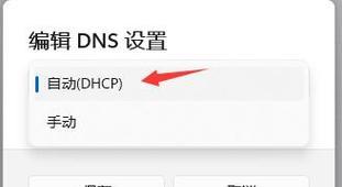 dns错误怎么办无法上网怎么修复（设置DNS地址的方法）