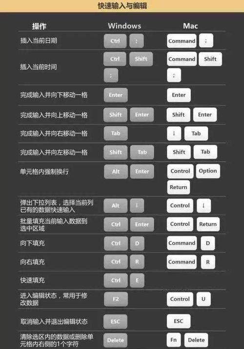 Excel自动换行的快捷键（简化操作）