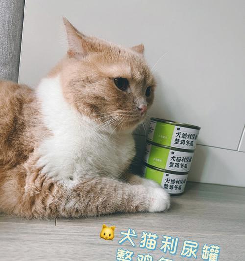 如何解决冬天猫不爱喝水的问题（冬季饮水不足的猫咪该如何保持身体水分平衡）