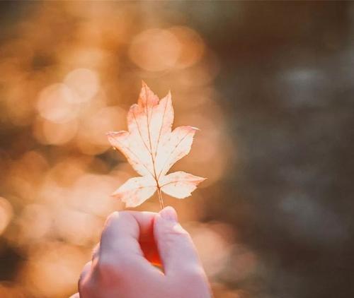 如何调节心态，化解不好的情绪（心情不好如何调整）