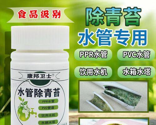 饮水机水箱青苔清洗指南（简单易行的清洗方法）