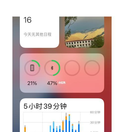 iPhone充电却电量越充越少的原因解析（探寻为何iPhone充电后电量不增反减的原因）