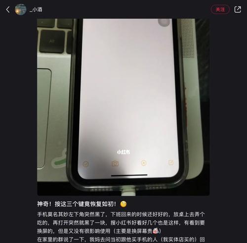 揭秘iPhone11图片大小之谜（探索iPhone11相机的画面尺寸及其影响因素）