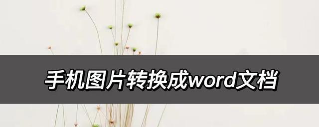 5种方法轻松查看Word文档（方便快捷的Word文档查看技巧）