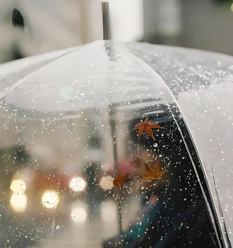 雨天如何用手机拍出高级感照片？